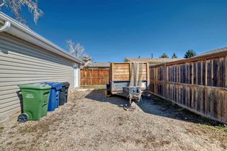 Photo 44: 195 Pinecliff Way NE in Calgary: Pineridge Detached for sale : MLS®# A2124953