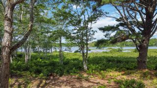 Photo 1: Lot Broad Lake Road in New Albany: Annapolis County Vacant Land for sale (Annapolis Valley)  : MLS®# 202215556
