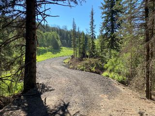 Photo 2: Lot 4 on south side of Jamieson Road in Rural Bighorn No. 8, M.D. of: Rural Bighorn M.D. Residential Land for sale : MLS®# A2021260