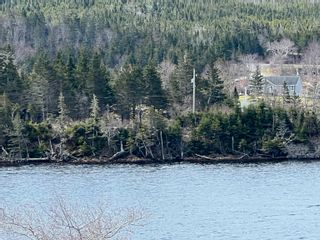 Photo 6: 348 New Harbour West Road in Guysborough County: 303-Guysborough County Vacant Land for sale (Highland Region)  : MLS®# 202310110