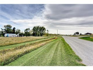 Photo 6: 386141 2 Street E: Rural Foothills M.D. House for sale : MLS®# C4081812