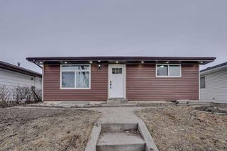 Photo 6: 26 Dovercliffe Close SE in Calgary: Dover Detached for sale : MLS®# A2115155