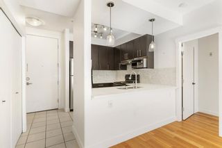 Photo 9: 209 1000 Centre Avenue NE in Calgary: Bridgeland/Riverside Apartment for sale : MLS®# A2134280