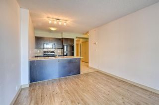 Photo 23: 1013 8880 Horton Road SW in Calgary: Haysboro Apartment for sale : MLS®# A1171744