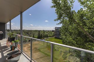 Photo 19: 602 3204 Rideau Place SW in Calgary: Rideau Park Apartment for sale : MLS®# A2053068