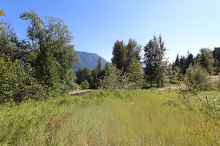 Photo 4: 26 2481 Squilax Anglemont Road: Lee Creek Land Only for sale (Shuswap)  : MLS®# 10116283