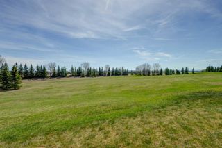 Photo 38: 227 Stonepine Cove in Rural Rocky View County: Rural Rocky View MD Semi Detached (Half Duplex) for sale : MLS®# A2131019