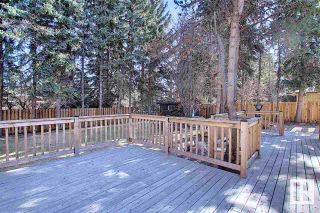 Photo 16: 12 QUESNELL Road in Edmonton: Zone 22 House for sale : MLS®# E4296947
