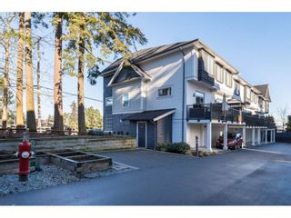 Photo 20: 25 15128 24 Avenue in Surrey: Sunnyside Park Surrey Townhouse for sale in "Semiahmoo Trail" (South Surrey White Rock)  : MLS®# R2133740