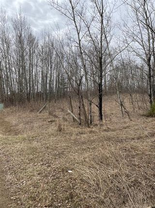 Photo 1: 5313 Wood Heights Road in Athabasca: Athabasca Town Residential Land for sale : MLS®# A1213758