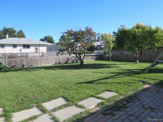 Photo 15:  in Winnipeg: Residential for sale or lease : MLS®# 1525817