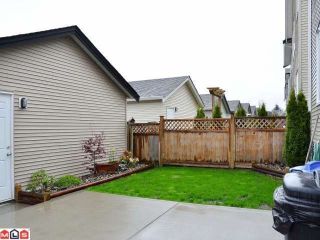 Photo 9: 18865 67A Avenue in Surrey: Clayton House for sale (Cloverdale)  : MLS®# F1210481