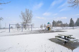 Photo 41: 7119 20 Street SE in Calgary: Ogden Detached for sale : MLS®# A1208140
