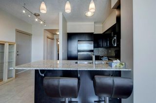 Photo 11: 2112 8710 Horton Road SW in Calgary: Haysboro Apartment for sale : MLS®# A1215879