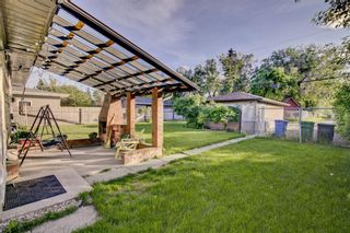 Photo 23: 4431 3 Street NE in Calgary: Greenview Detached for sale : MLS®# A1232463
