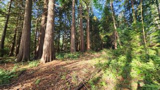 Photo 1: Lot 4 & 5 Inverness Rd in North Saanich: NS Ardmore Land for sale : MLS®# 945901