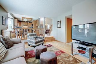 Photo 17: 87 Sunmount Road SE in Calgary: Sundance Detached for sale : MLS®# A1236297