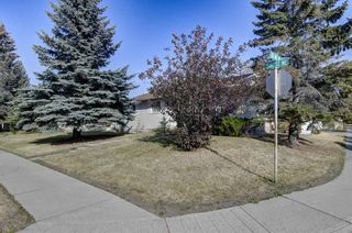 Photo 43: 3204 56 Street NE in Calgary: Pineridge Detached for sale : MLS®# A2005579