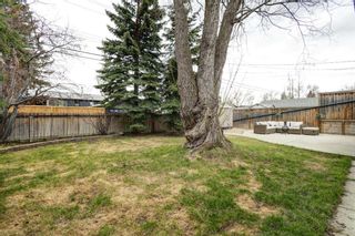 Photo 29: 651 Willesden Drive SE in Calgary: Willow Park Detached for sale : MLS®# A2127376