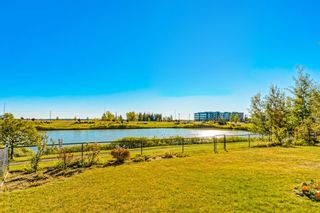 Photo 42: 141 Silverado Range Cove SW in Calgary: Silverado Detached for sale : MLS®# A1258227