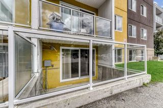 Photo 14: 103 4455A Greenview Drive NE in Calgary: Greenview Apartment for sale : MLS®# A1232838