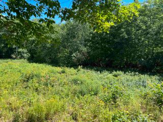 Photo 3: West River Station Road in Salt Springs: 108-Rural Pictou County Vacant Land for sale (Northern Region)  : MLS®# 202220521