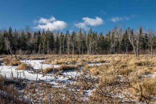Photo 3: Lot Greenfield Road in Greenfield: 404-Kings County Vacant Land for sale (Annapolis Valley)  : MLS®# 202025611