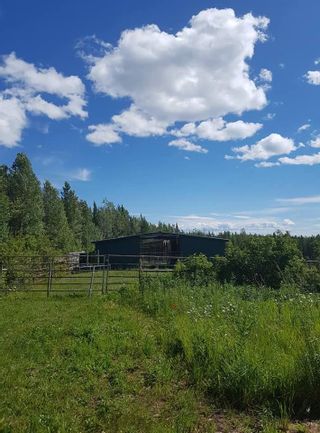 Photo 13: 23200 S MCBRIDE TIMBER Road in Prince George: Upper Mud House for sale (PG Rural West (Zone 77))  : MLS®# R2354955