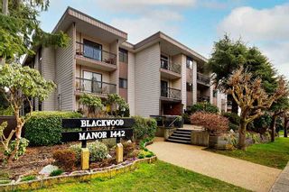 Photo 1: 307 1442 BLACKWOOD Street: White Rock Condo for sale in "Blackwood Manor" (South Surrey White Rock)  : MLS®# R2649846