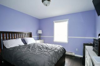 Photo 6: 20384 KENT Street in Maple Ridge: Southwest Maple Ridge House for sale : MLS®# R2221127