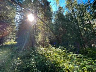 Photo 18: LOT 3 CAVE Road in Williams Lake: Horsefly Land for sale : MLS®# R2719437