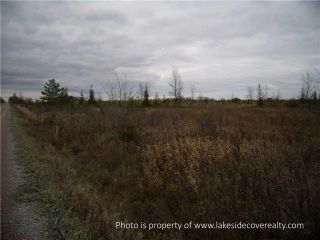 Photo 18: 2489 Concession Road 3 Road in Ramara: Brechin Property for sale : MLS®# X3371303
