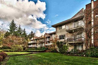 Photo 1: 306 1187 PIPELINE Road in Coquitlam: New Horizons Condo for sale : MLS®# R2123453