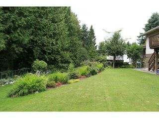 Photo 20: 7076 FIELDING Court in Burnaby: Government Road House for sale (Burnaby North)  : MLS®# V1030816