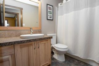 Photo 21: 14 ARDELL Close: Red Deer Detached for sale : MLS®# A2093802