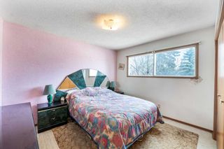 Photo 20: 4448 Brentwood Green NW in Calgary: Brentwood Detached for sale : MLS®# A2124060