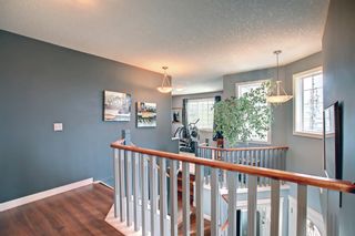 Photo 16: 218 Canoe Square SW: Airdrie Detached for sale : MLS®# A1211448