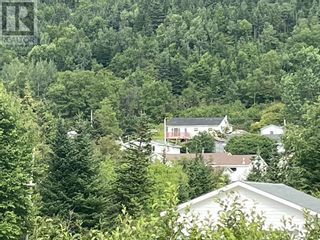 Photo 22: 33A Newton Road in Seal Cove, White Bay: House for sale : MLS®# 1266491
