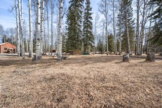 Photo 39: 33437 Range Road 73: Rural Mountain View County Detached for sale : MLS®# A1196809