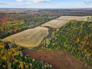 Photo 5: Lot Z West Tatamagouche Road in Tatamagouche: 103-Malagash, Wentworth Vacant Land for sale (Northern Region)  : MLS®# 202322223