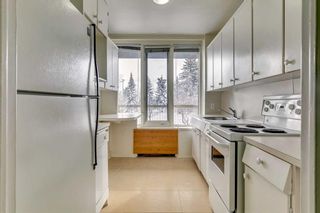 Photo 19: 207 3316 Rideau Place SW in Calgary: Rideau Park Apartment for sale : MLS®# A2090286