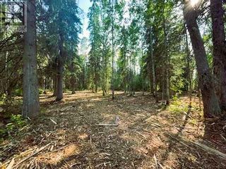 Photo 8: 931 Wolf Trail in Sandy Lake: Vacant Land for sale : MLS®# A2063552