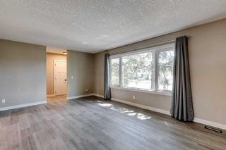 Photo 5: 2219 37 Street SW in Calgary: Glendale Detached for sale : MLS®# A2065008