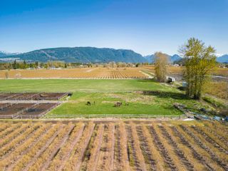 Photo 36: 13634 HARRIS Road in Pitt Meadows: North Meadows PI House for sale : MLS®# R2777590