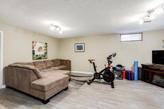 Photo 14: 293 Marquis Place SE: Airdrie Detached for sale : MLS®# A1183516