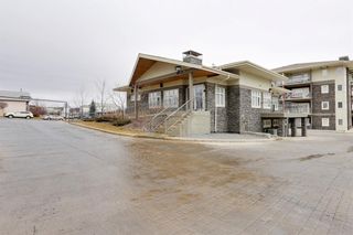 Photo 23: 330 11 Millrise Drive SW in Calgary: Millrise Apartment for sale : MLS®# A1258427