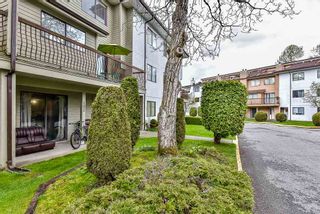 Photo 17: 102 7162 133A Street in Surrey: West Newton Townhouse for sale : MLS®# R2161746
