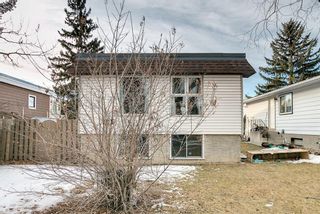 Photo 21: 3024 32A Street SE in Calgary: Dover Detached for sale : MLS®# A1175138