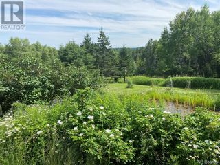 Photo 13: 167 Todds Point Road in Dufferin: House for sale : MLS®# NB089445