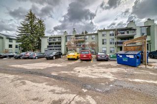 Photo 1: 518 10120 Brookpark Boulevard SW in Calgary: Braeside Apartment for sale : MLS®# A2128653